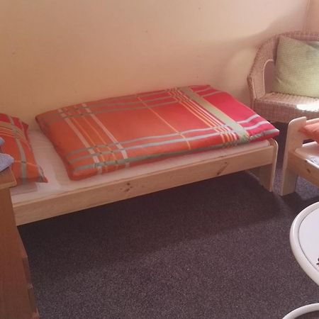 Pension U Loupezaku Hotell Jetřichovice Rum bild